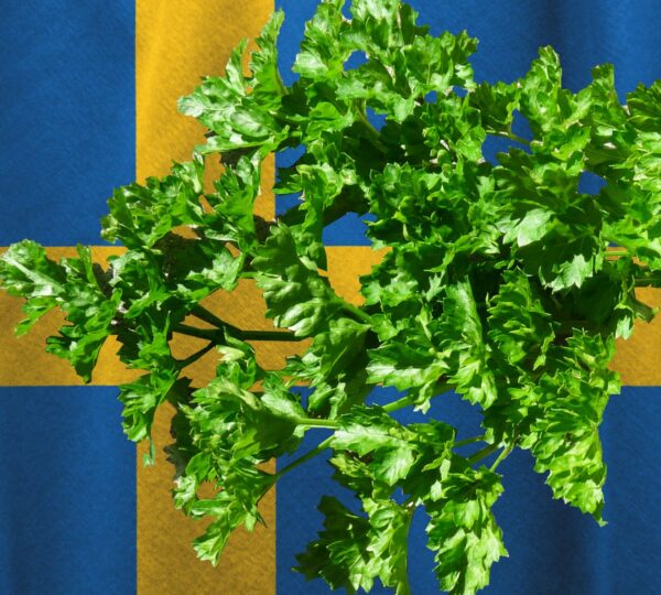 Imported Parsley Connected to E. coli Cases in Sweden