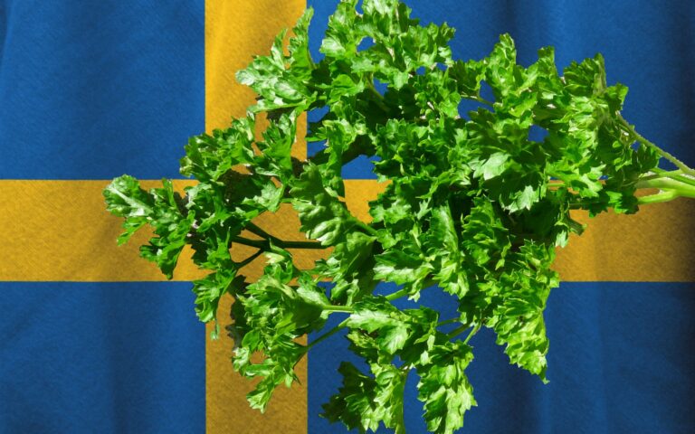 Read more about the article Imported Parsley Connected to E. coli Cases in Sweden