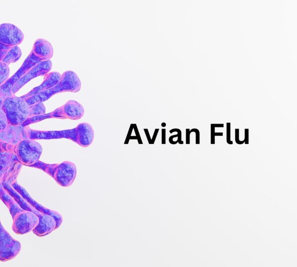 Read more about the article Avian Flu Swiftly Spreading Among U.S. Commercial Flocks