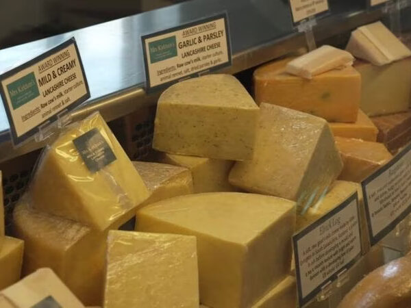 Read more about the article One Dead Following Cheese Recall Over E. Coli