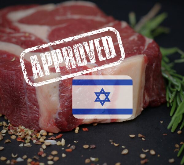 Israel Has Granted Approval For The Sale of Aleph Farms’ Lab-Grown Beef.