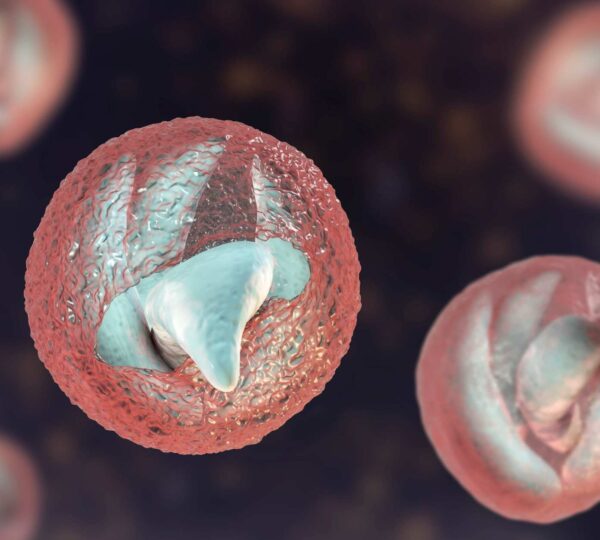 APHA Reports Rise in Cryptosporidium Cases, Decline in E. coli Outbreaks