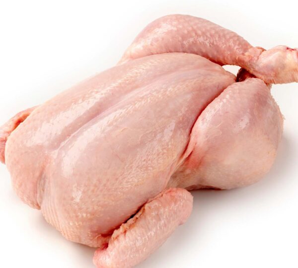 Read more about the article Experts Assess Strategies to Control Campylobacter in Chicken Meat