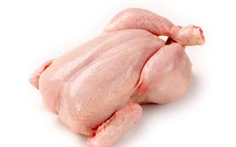 Read more about the article Experts Assess Strategies to Control Campylobacter in Chicken Meat