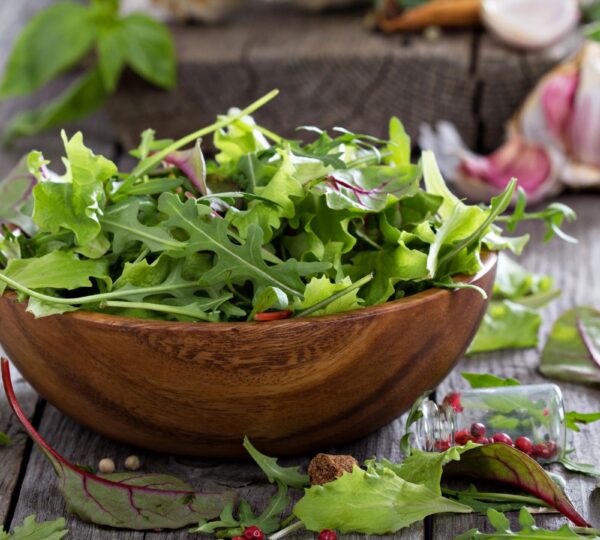 Investigation Uncovers Pre-Washed Salad as Source of Major Salmonella Outbreak in Sweden