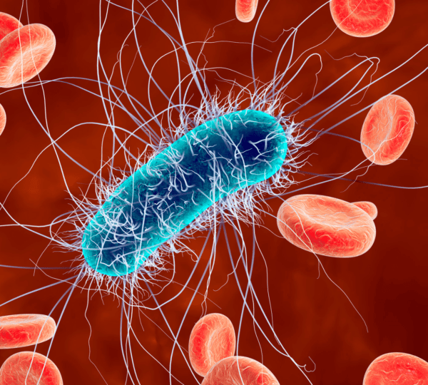 FDA Identifies New E. coli O157:H7 Outbreak; Investigation Underway