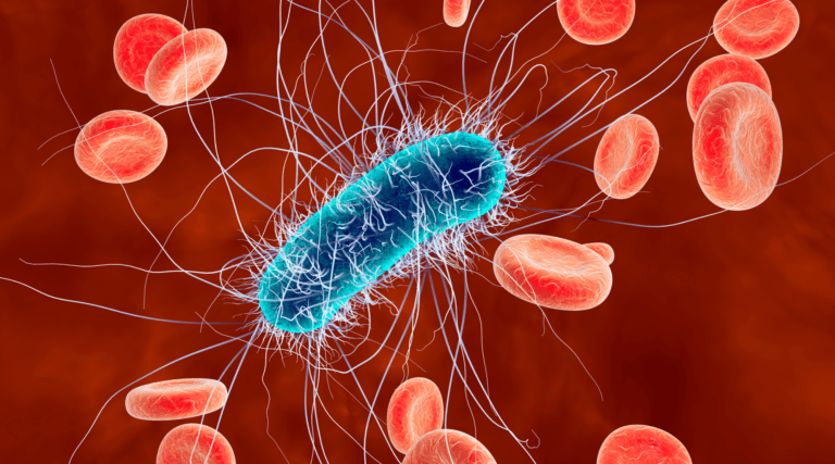 Read more about the article FDA Identifies New E. coli O157:H7 Outbreak; Investigation Underway