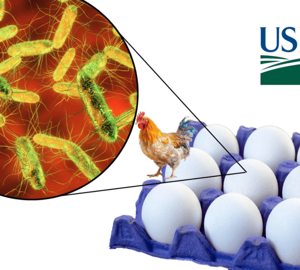 USDA Declares Salmonella an Adulterant in Certain Chicken Products