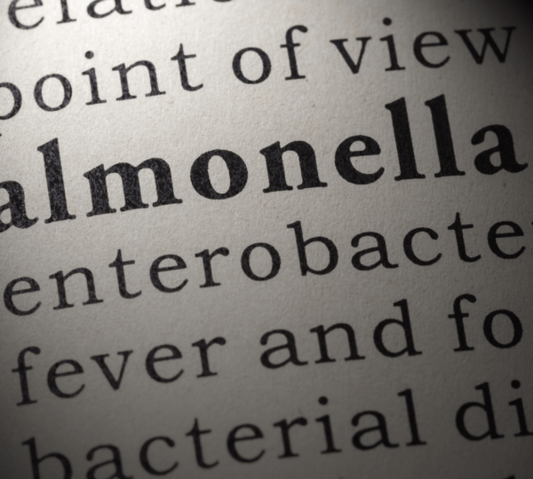 Read more about the article Salmonella Outbreak Strikes Denmark: 12 Affected, Health Authorities on Alert