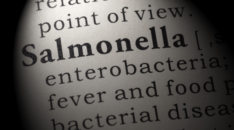 Read more about the article Salmonella Outbreak Strikes Denmark: 12 Affected, Health Authorities on Alert