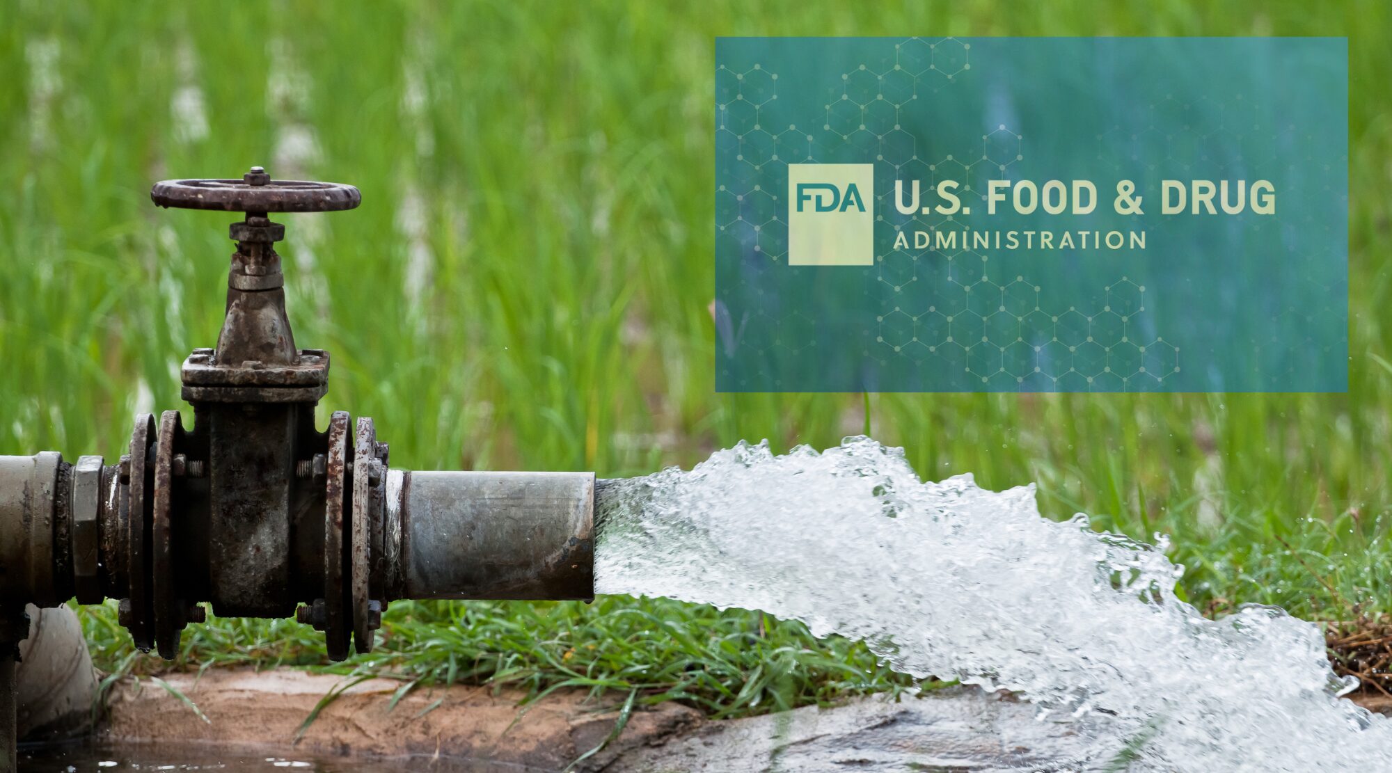 You are currently viewing FSMA Final Rule on Pre-Harvest Agricultural Water