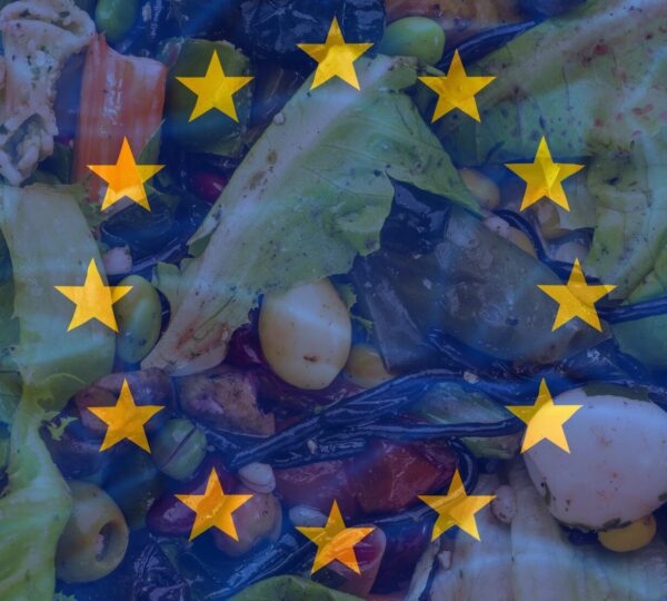 Read more about the article Food waste: the problem in the EU in numbers [infographic]