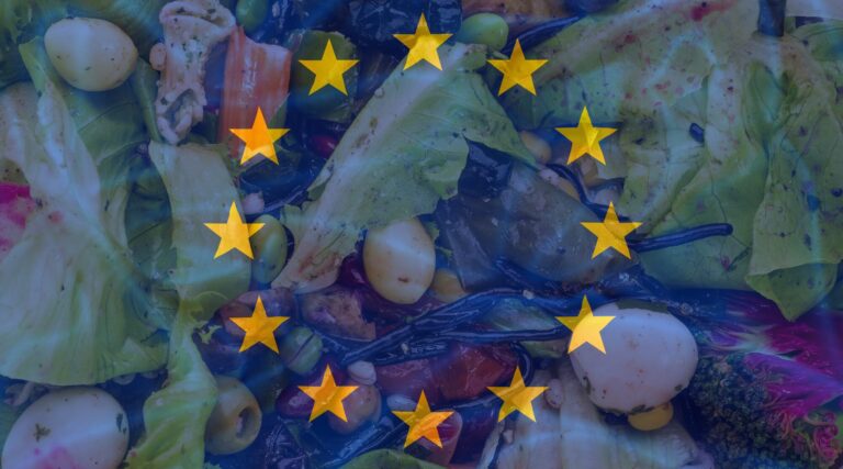 Read more about the article Food waste: the problem in the EU in numbers [infographic]