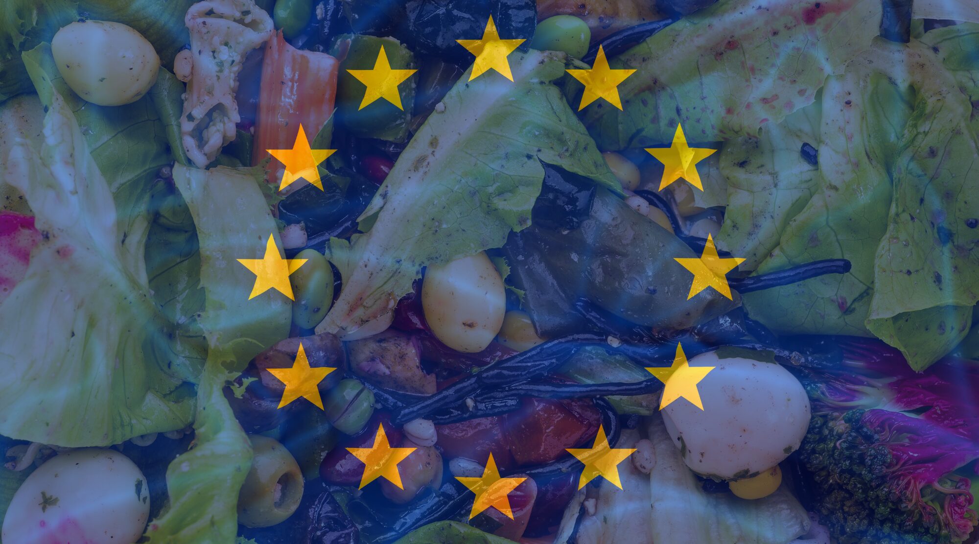 You are currently viewing Food waste: the problem in the EU in numbers [infographic]