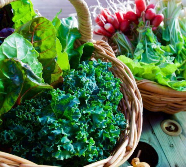 Study Finds Leafy Greens Responsible for Significant Portion of U.S. Foodborne Illnesses and Costs