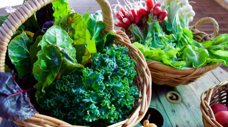 Read more about the article Study Finds Leafy Greens Responsible for Significant Portion of U.S. Foodborne Illnesses and Costs