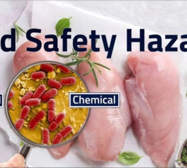 Read more about the article Food Safety Hazards Detection