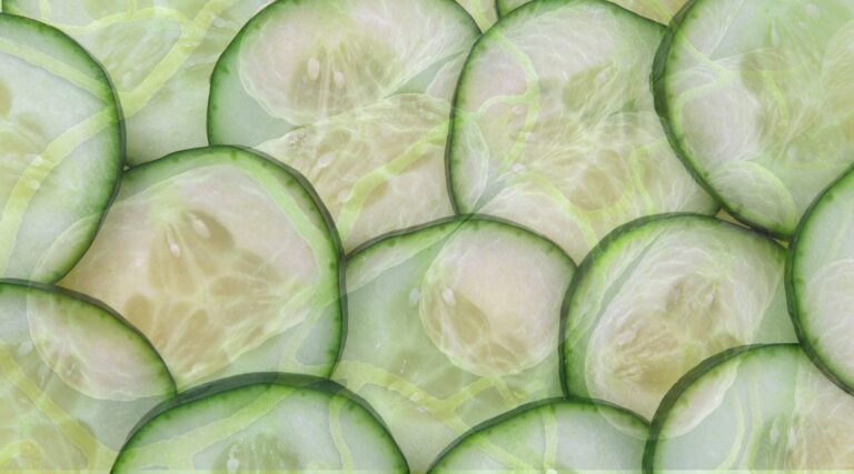 Read more about the article Over 350 Cases Confirmed in Salmonella Outbreaks Linked to Fresh Cucumbers