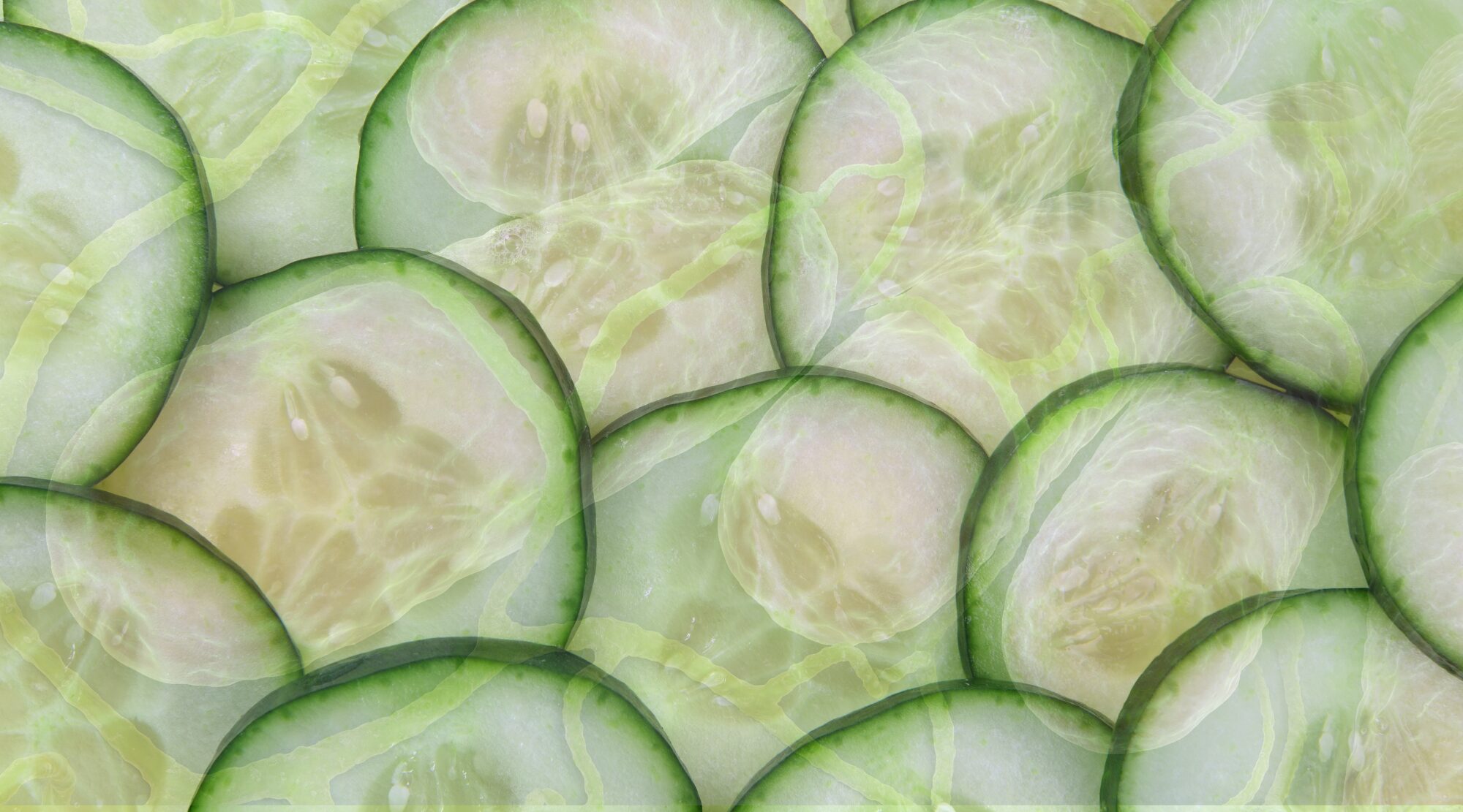 You are currently viewing Over 350 Cases Confirmed in Salmonella Outbreaks Linked to Fresh Cucumbers