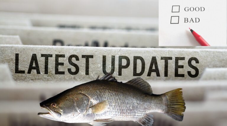 Read more about the article Fish consumption – The Good, the Bad, and the Latest Update from FAO and WHO