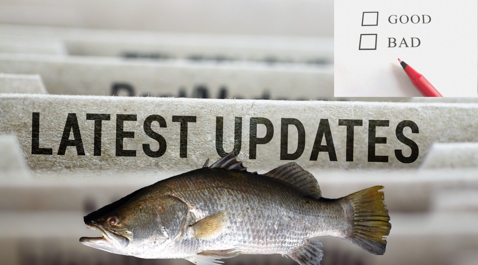 You are currently viewing Fish consumption – The Good, the Bad, and the Latest Update from FAO and WHO