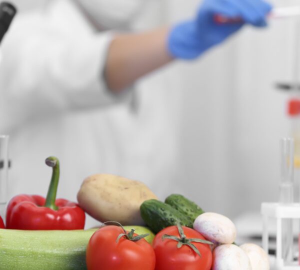 Read more about the article The Critical Importance of Food Safety: Protecting What Matters Most