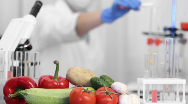 Read more about the article The Critical Importance of Food Safety: Protecting What Matters Most