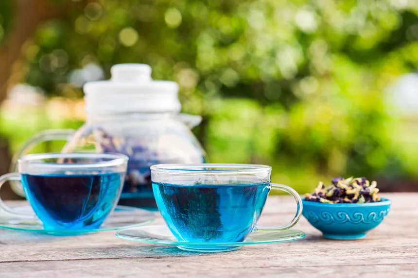 FDA Approves Three New Natural Color Additives, Advancing Efforts to Remove Petroleum-Based Dyes from U.S. Food Supply