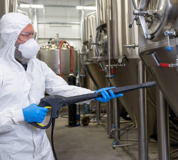 Bacteria survival shows importance of sanitation focus