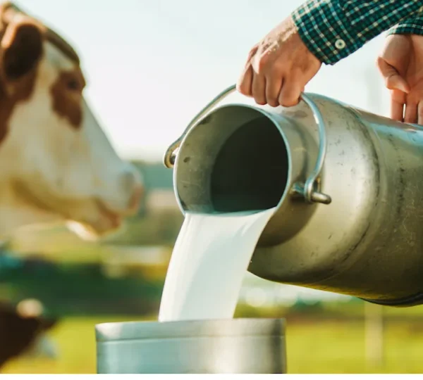 States’ legislation on raw milk sales moving forward