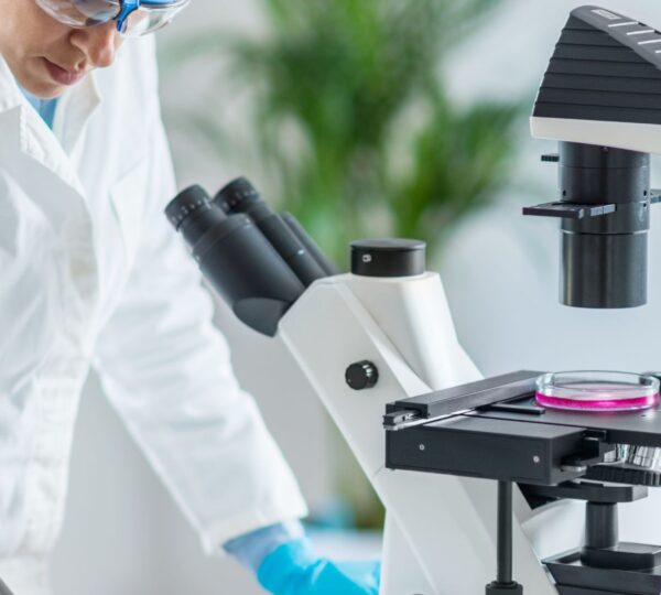 ” Scientists show diversity of Salmonella strain