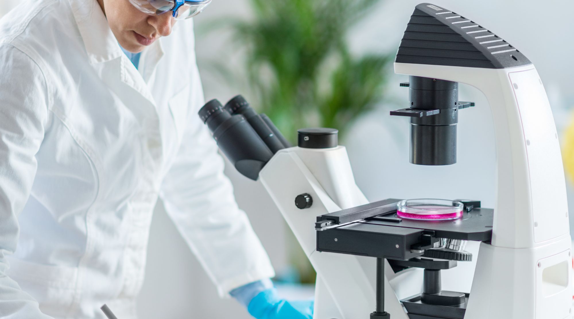 ” Scientists show diversity of Salmonella strain