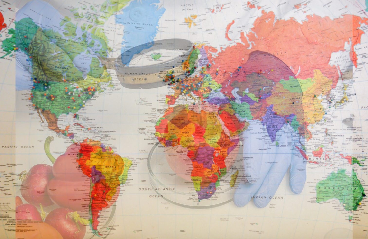 Country_National-Specific Food Safety Regulation Compliance Consultation Service​